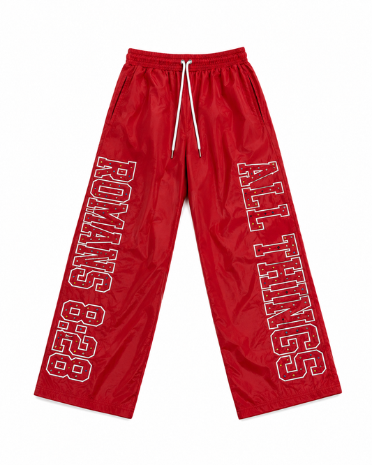 All Things Nylon Pants Red